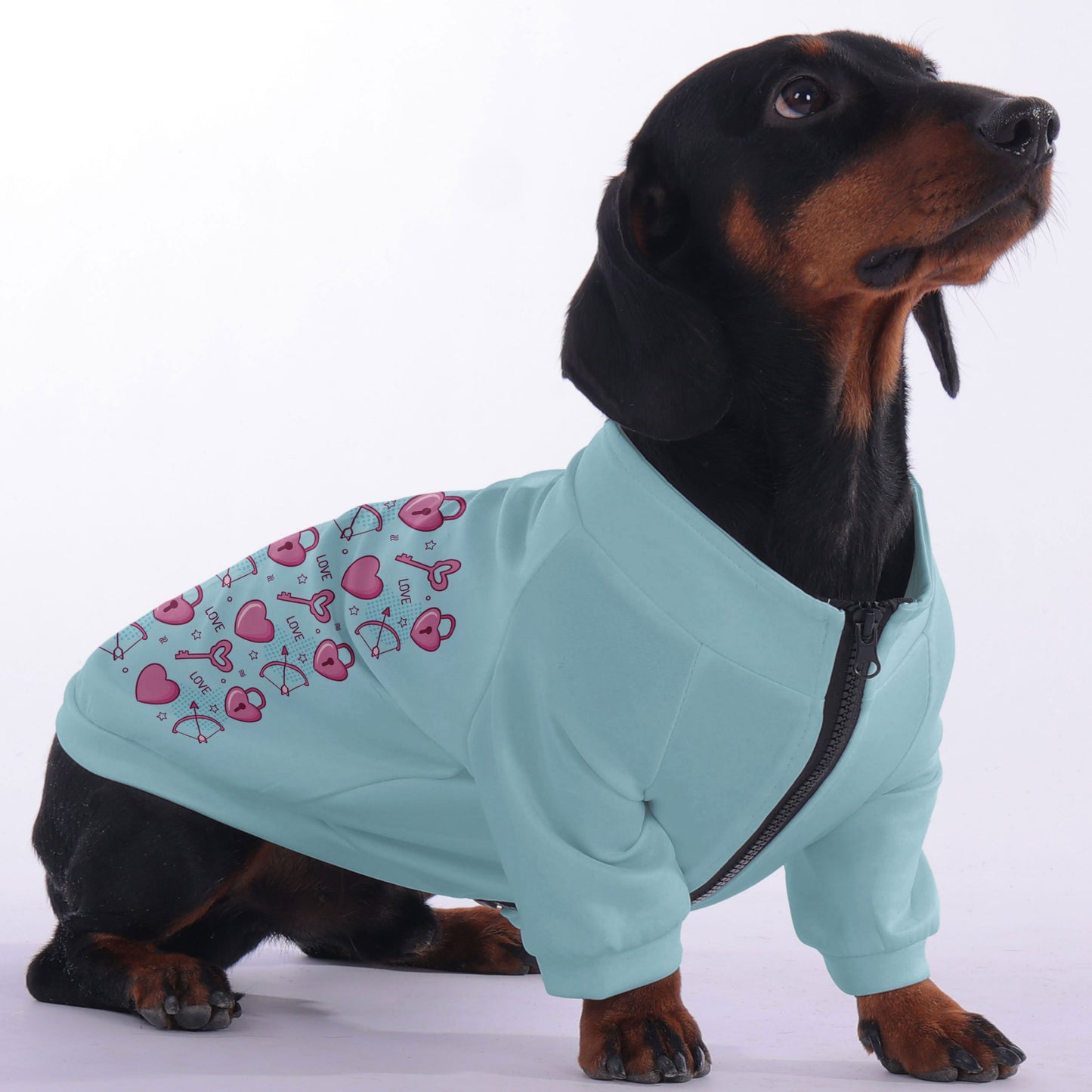 Kobe - zip-up hooded sweatshirt for dachshund