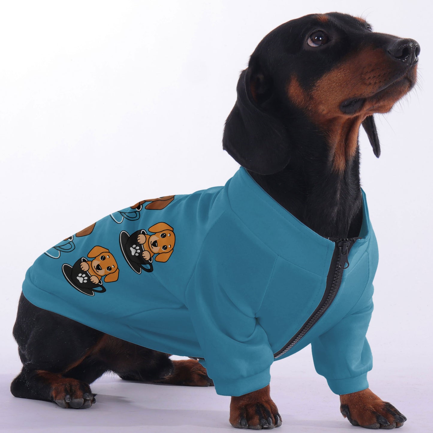Schnitzel - zip-up hooded sweatshirt for dachshund