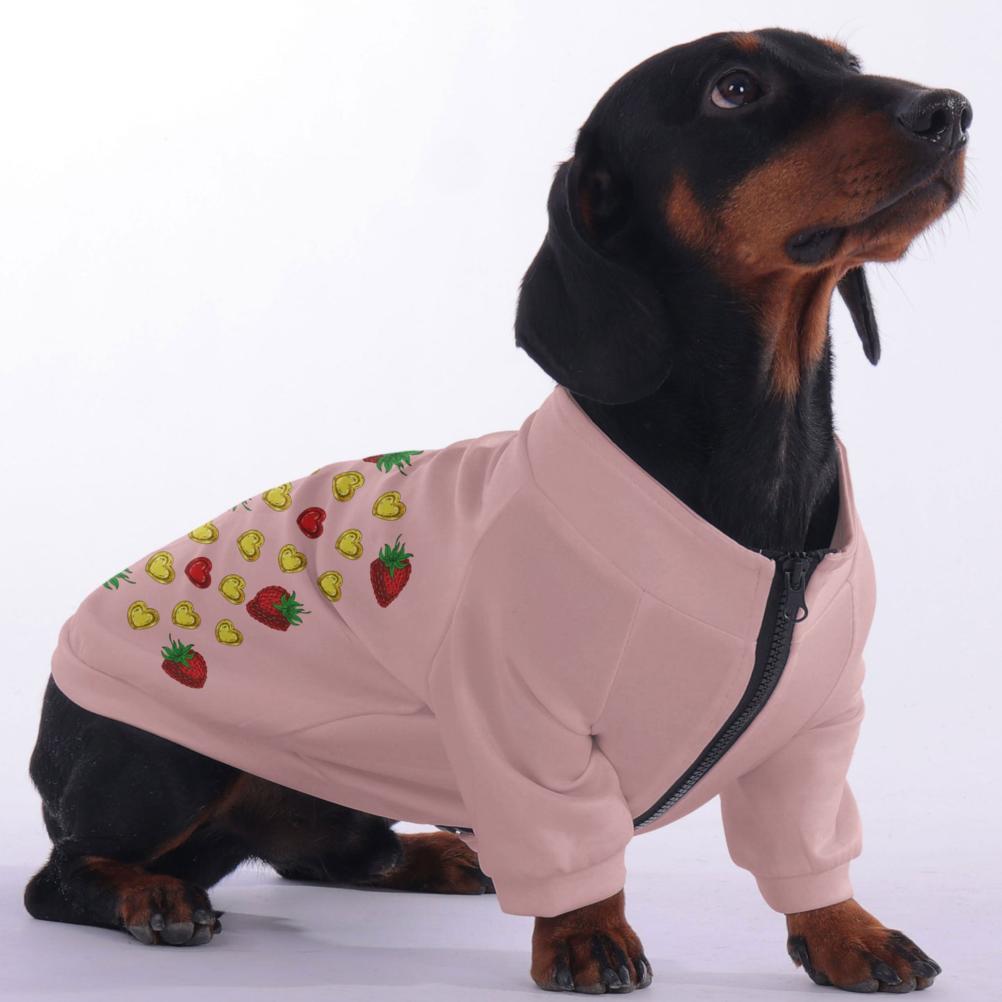 Neville - zip-up hooded sweatshirt for dachshund