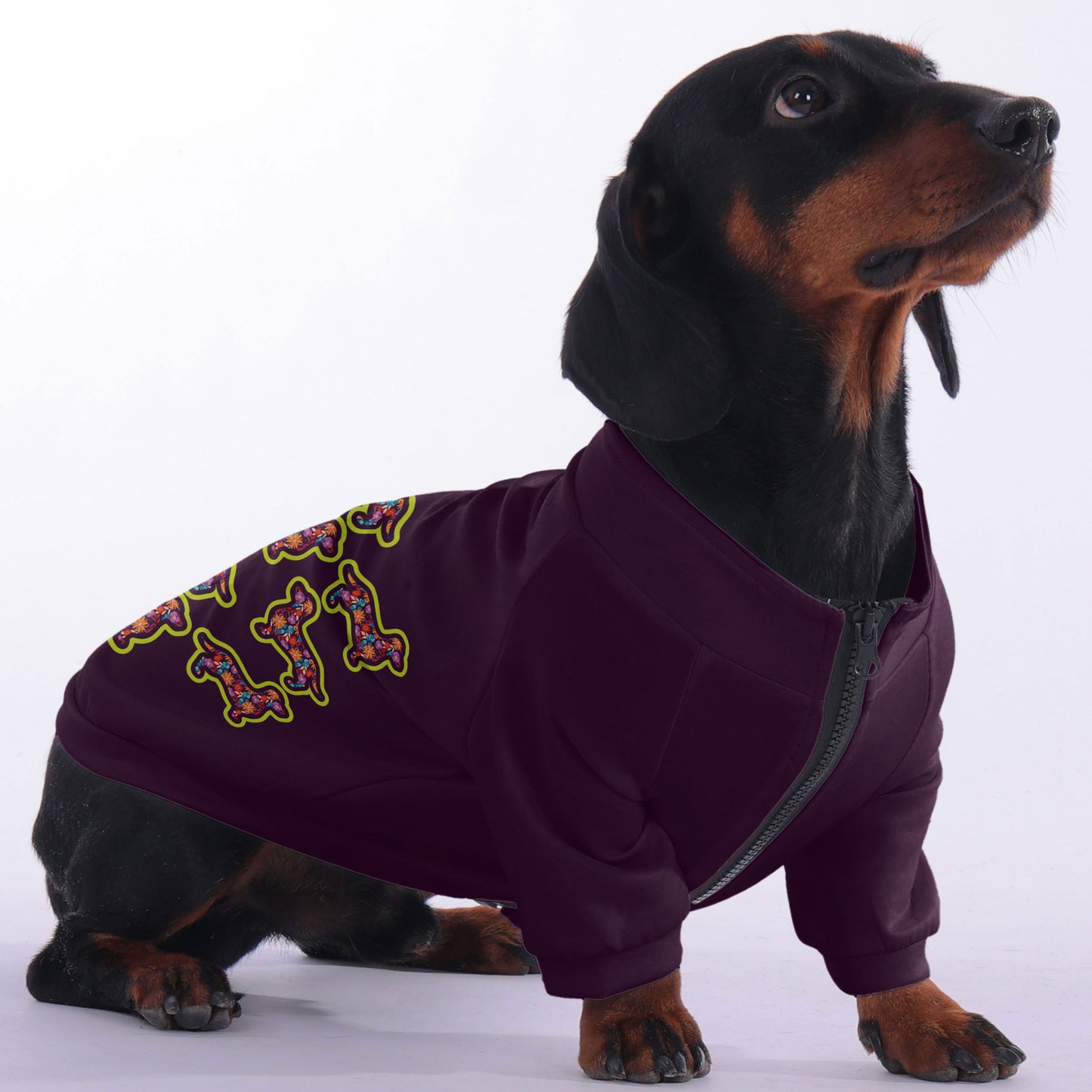 Pickle - zip-up hooded sweatshirt for dachshund