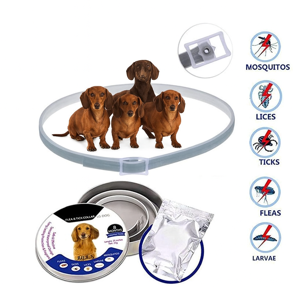 DEFEAX™-Dachshund-Collar.jpg