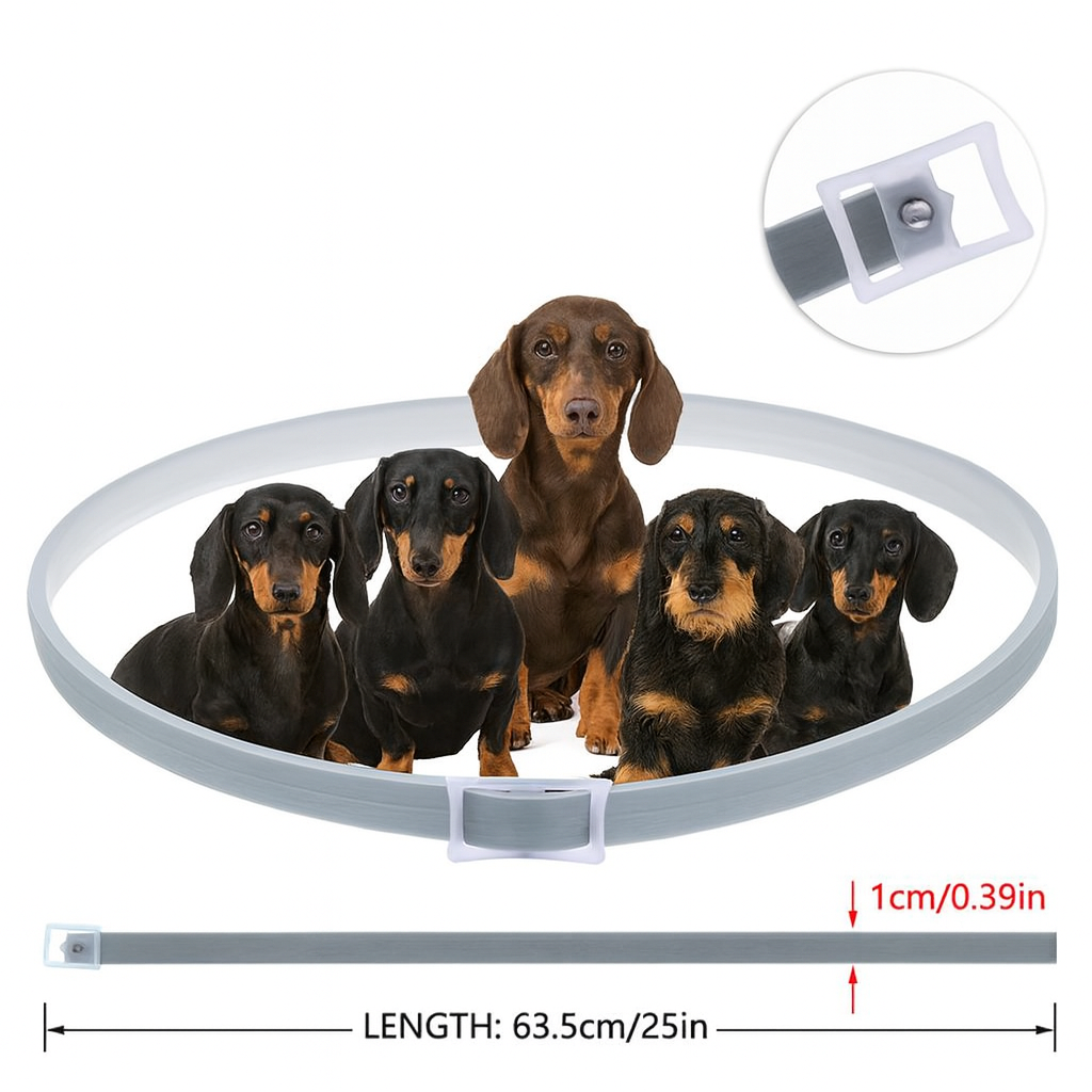 DEFEAX™-Dachshund-Collar.jpg