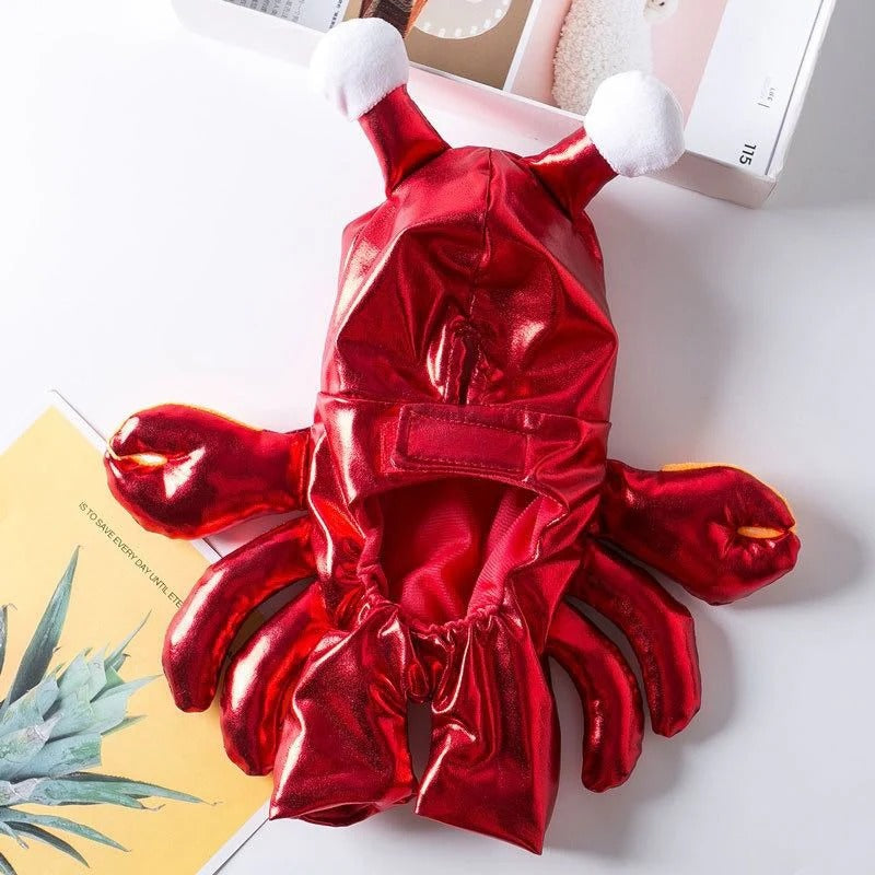 DachCrusta-Dachshund-Crab-Costume.jpg