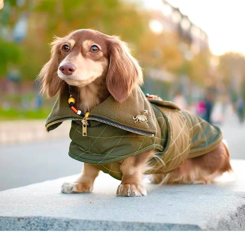 DachLux-Dachshund-Winter-Jacket.jpg