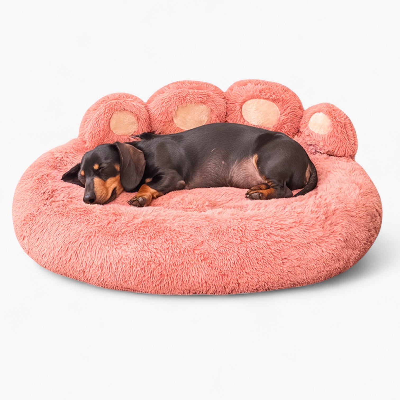 DachRest-Dachshund-Sofa-Dog-Bed.jpg