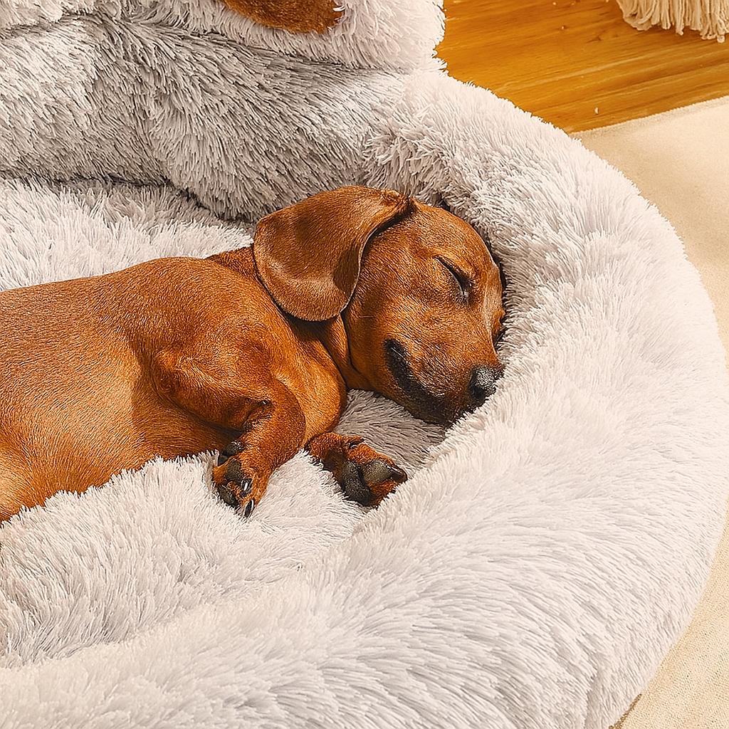 DachRest-Dachshund-Sofa-Dog-Bed.jpg