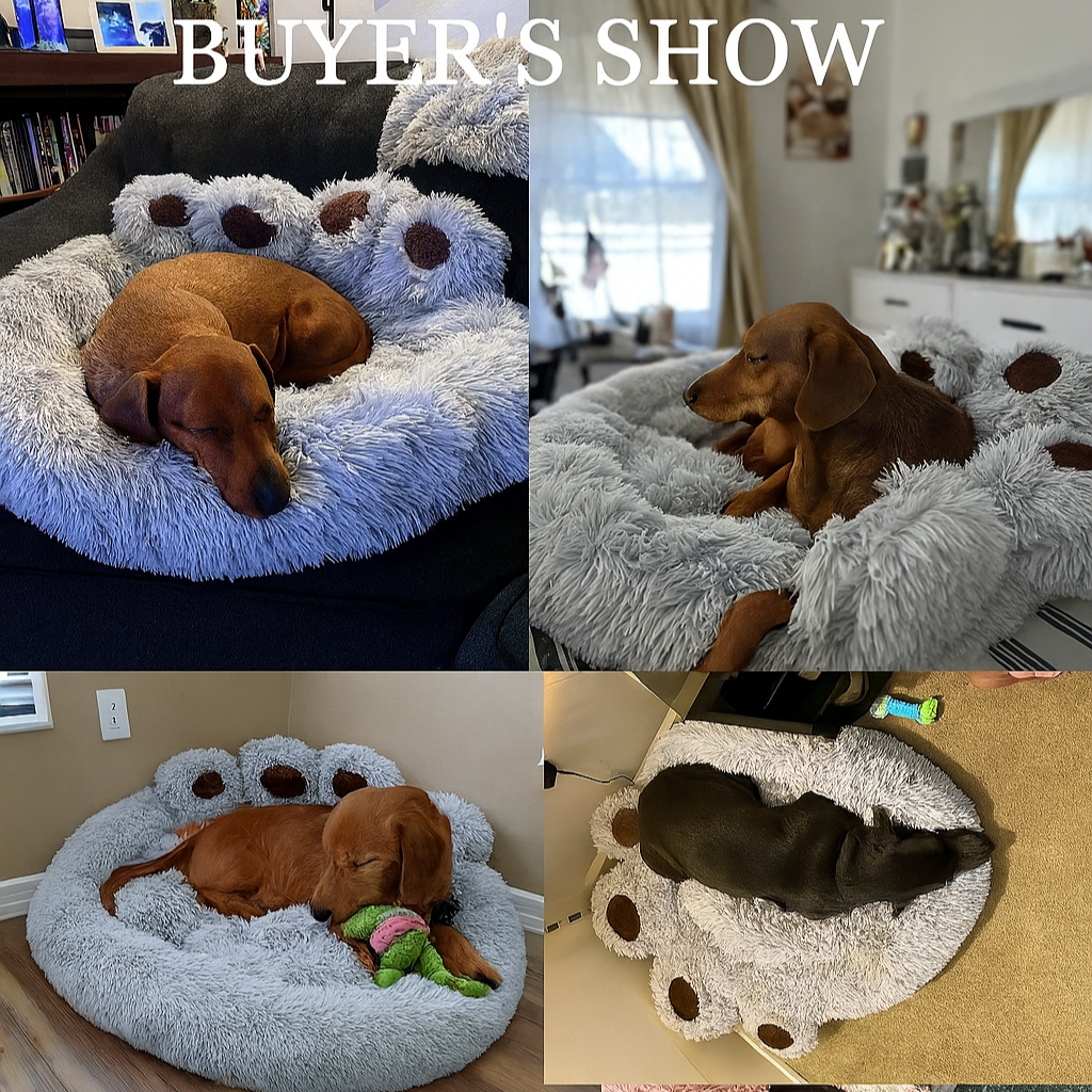 DachRest-Dachshund-Sofa-Dog-Bed.jpg