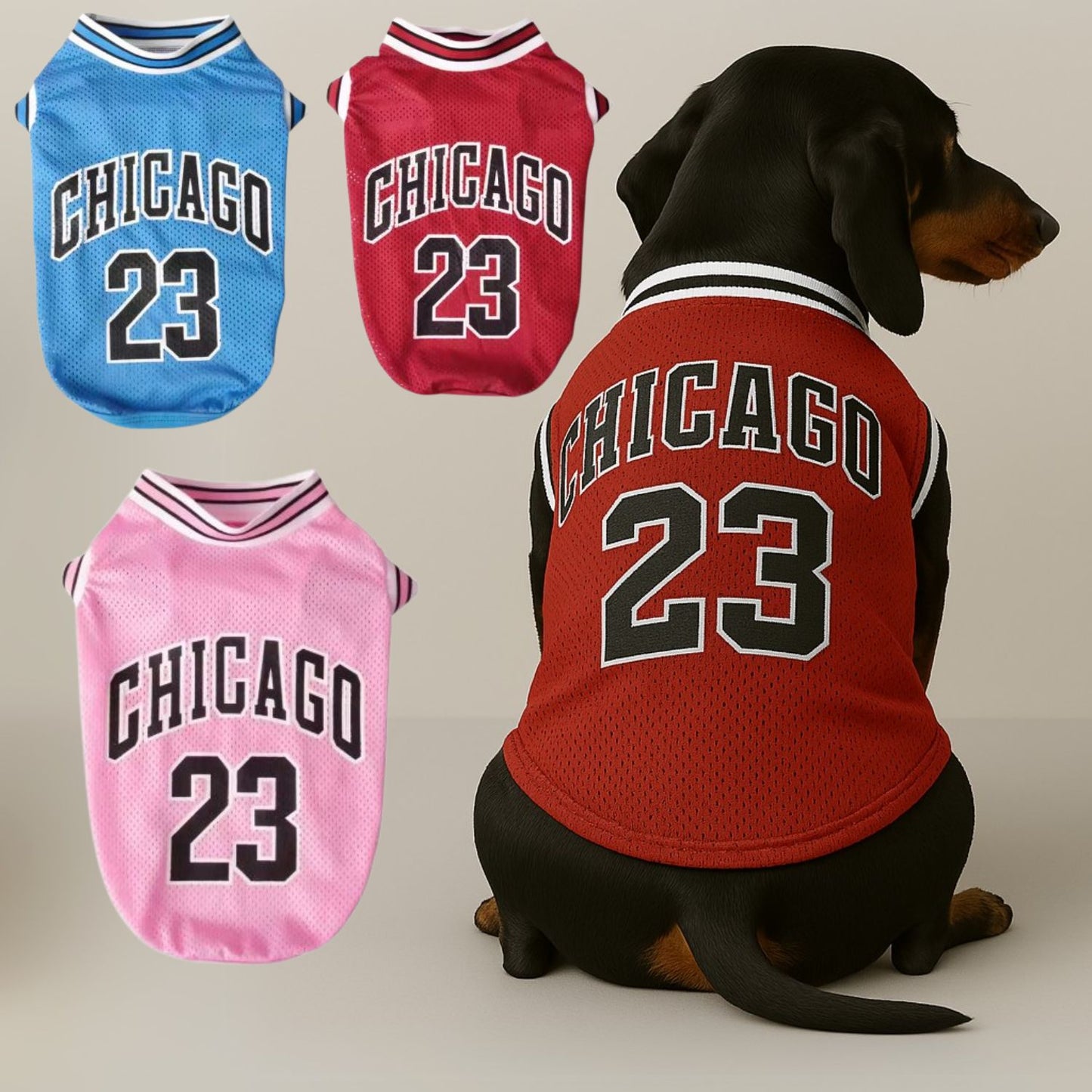 Dachshund-Summer-Sports-Jersey-Basketball-and-Soccer-Puppy-T-Shirts