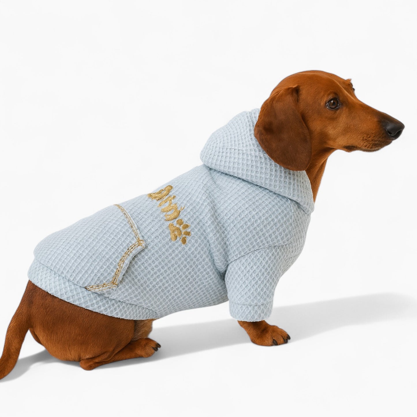 Dachshund-Waffle-Hoodie.jpg