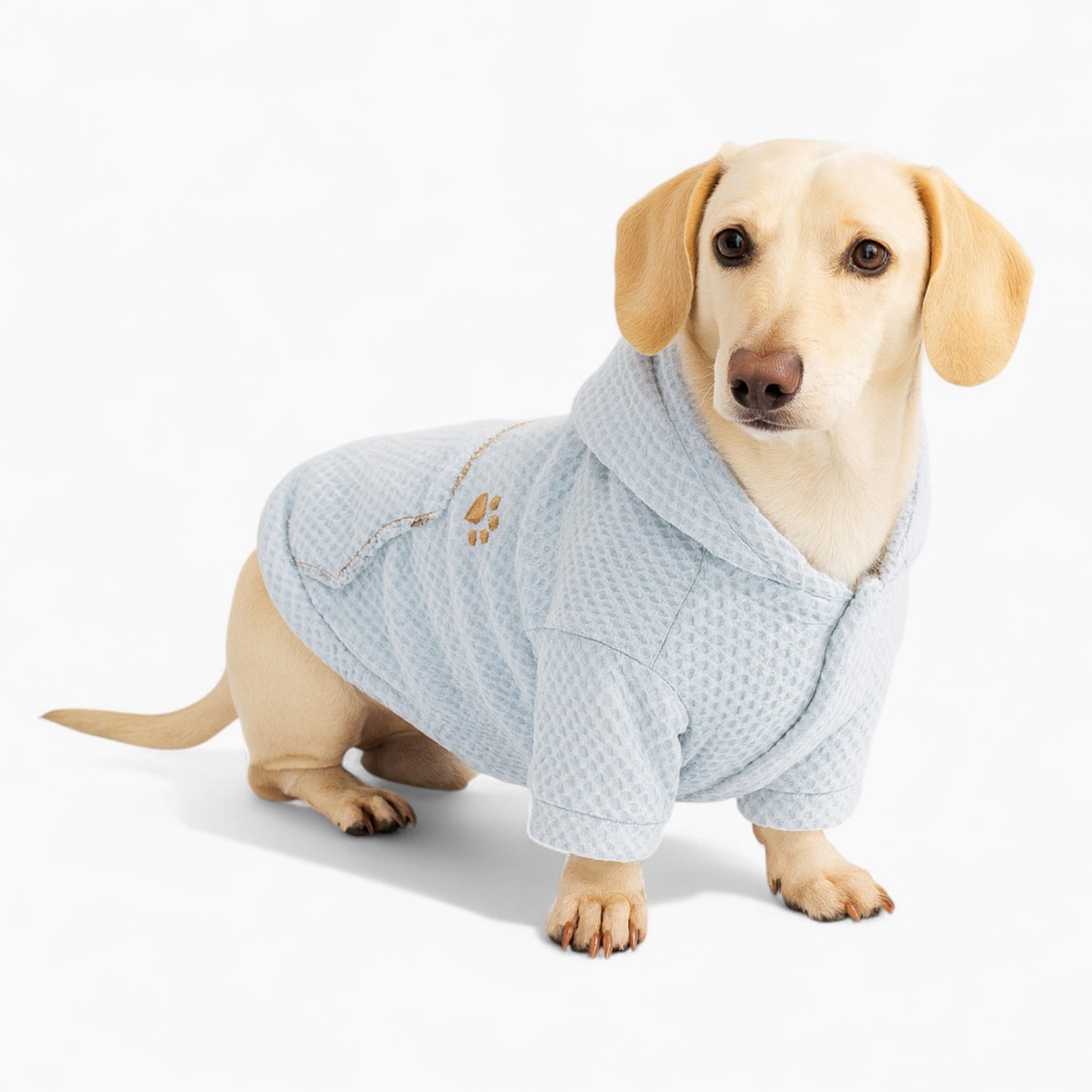 Dachshund-Waffle-Hoodie.jpg
