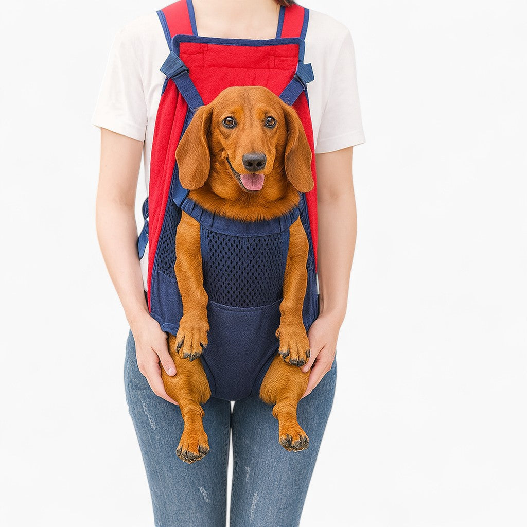 Dachshund-carrier--
