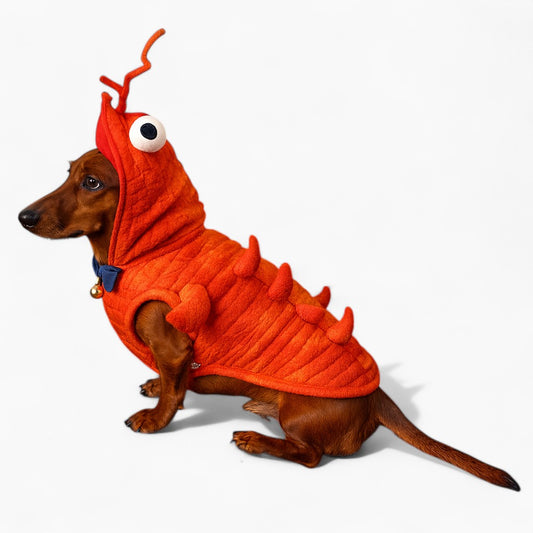 Dachshund-costume