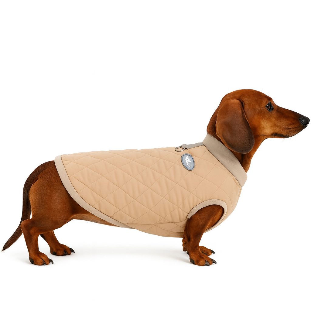 DoxWear Quilted Dachshund Winter Vest – Waterproof Fleece-Lined Harness-Ready Jacket with Reflective D-Ring