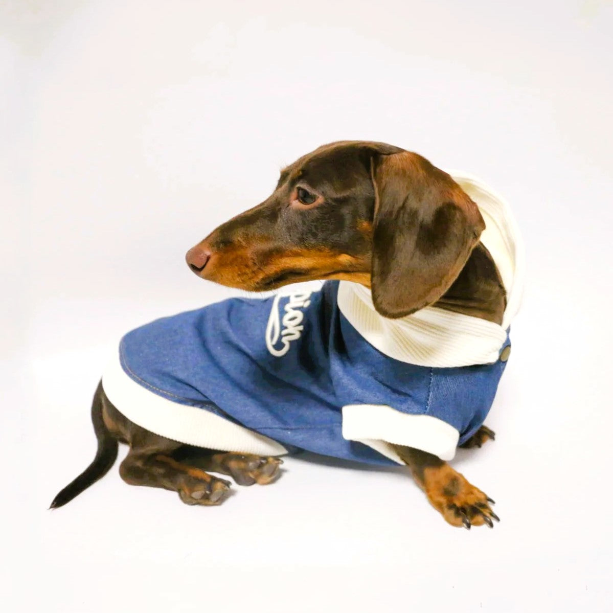 DenimPaw-Dachshund-Hoodie-Jacket.jpg