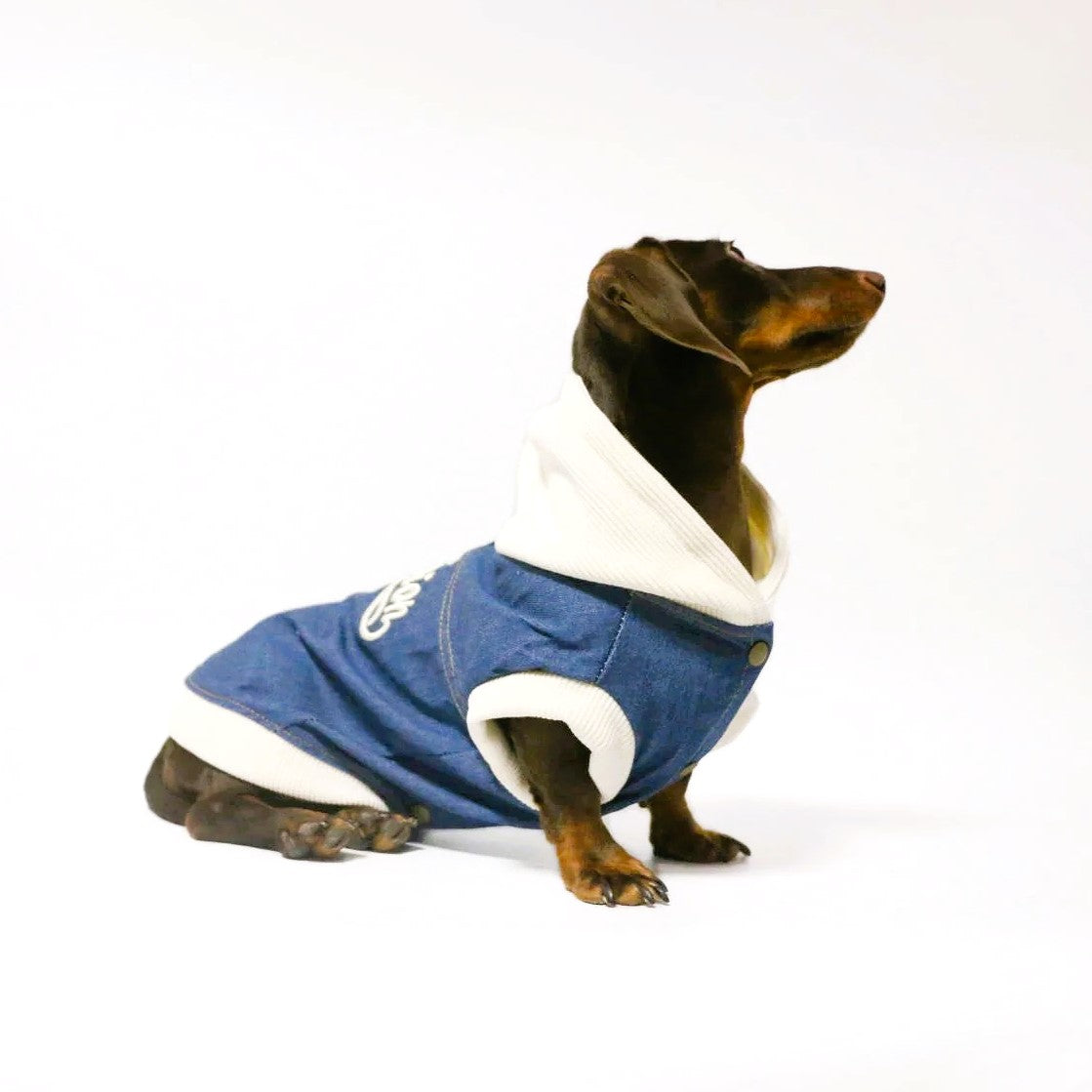 DenimPaw-Dachshund-Hoodie-Jacket.jpg