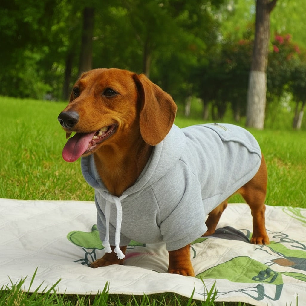 Denimutt-Dachshund-Velvet-Hoodie.jpg