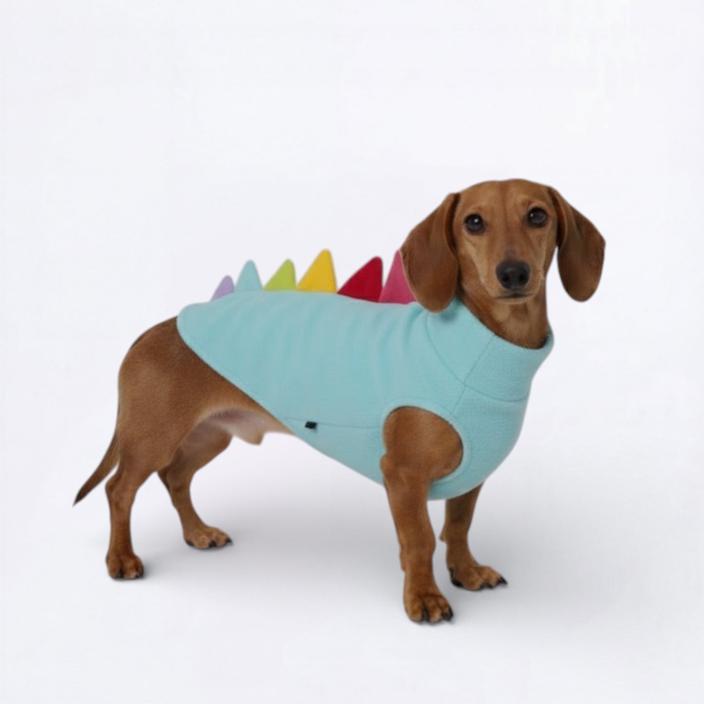 DinoPaws-Dachshund-Dinosaur-Vest.jpg