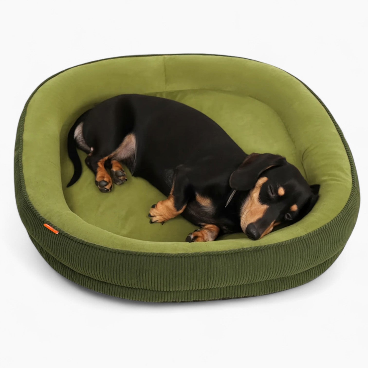 DoxChill-Dachshund-Winter-Sofa-Bed.jpg