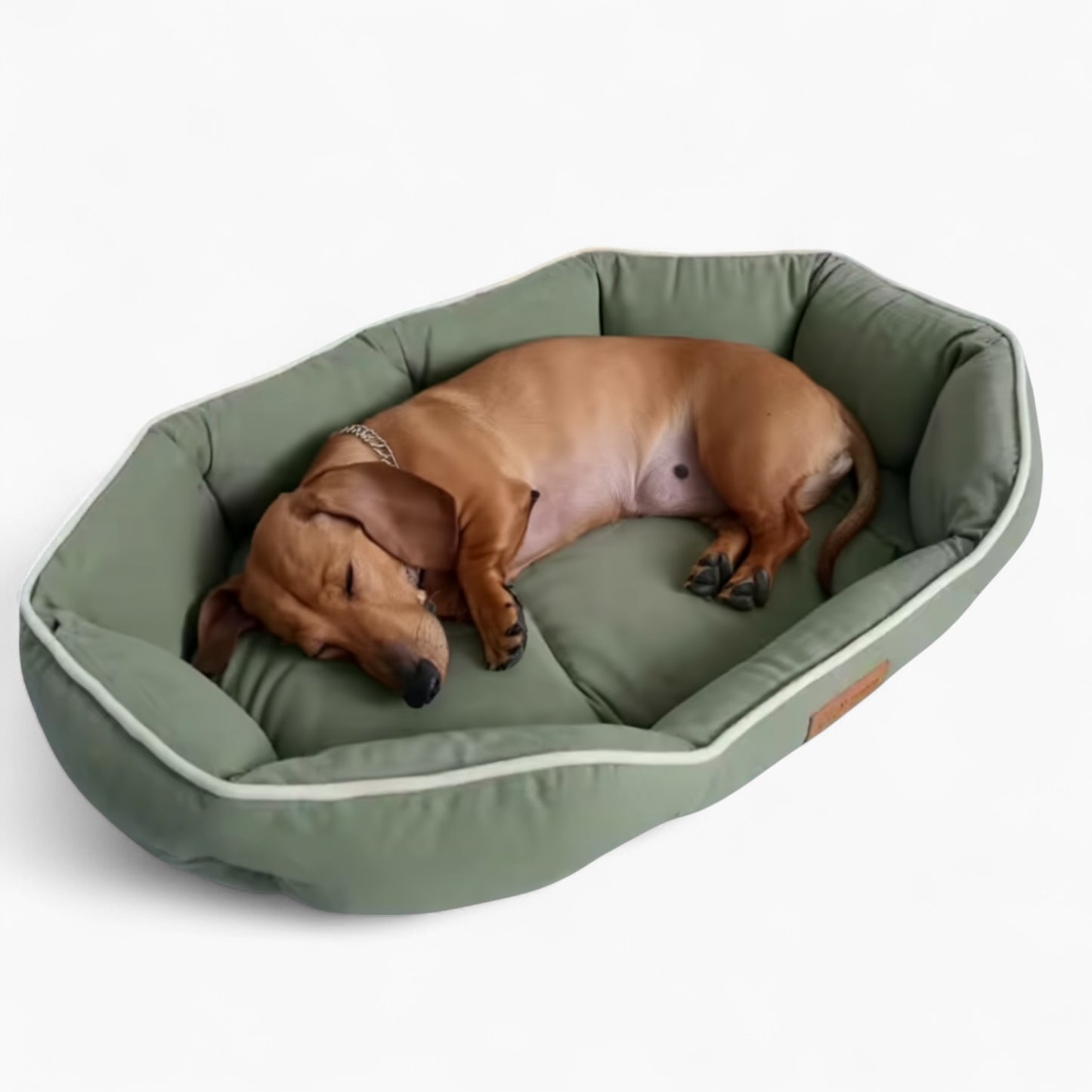 DoxCush-Dachshund-Pillow-Sofa-Bed.jpg