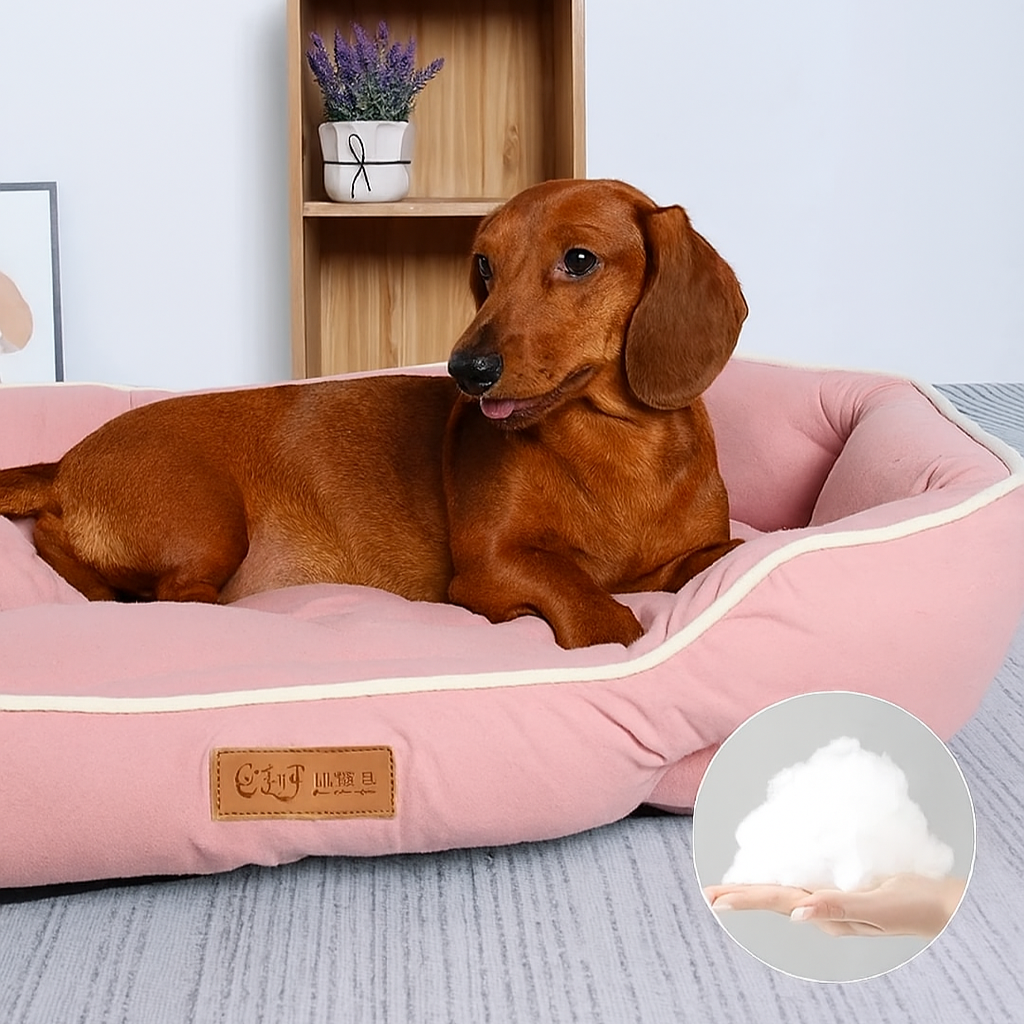 DoxCush-Dachshund-Pillow-Sofa-Bed.jpg