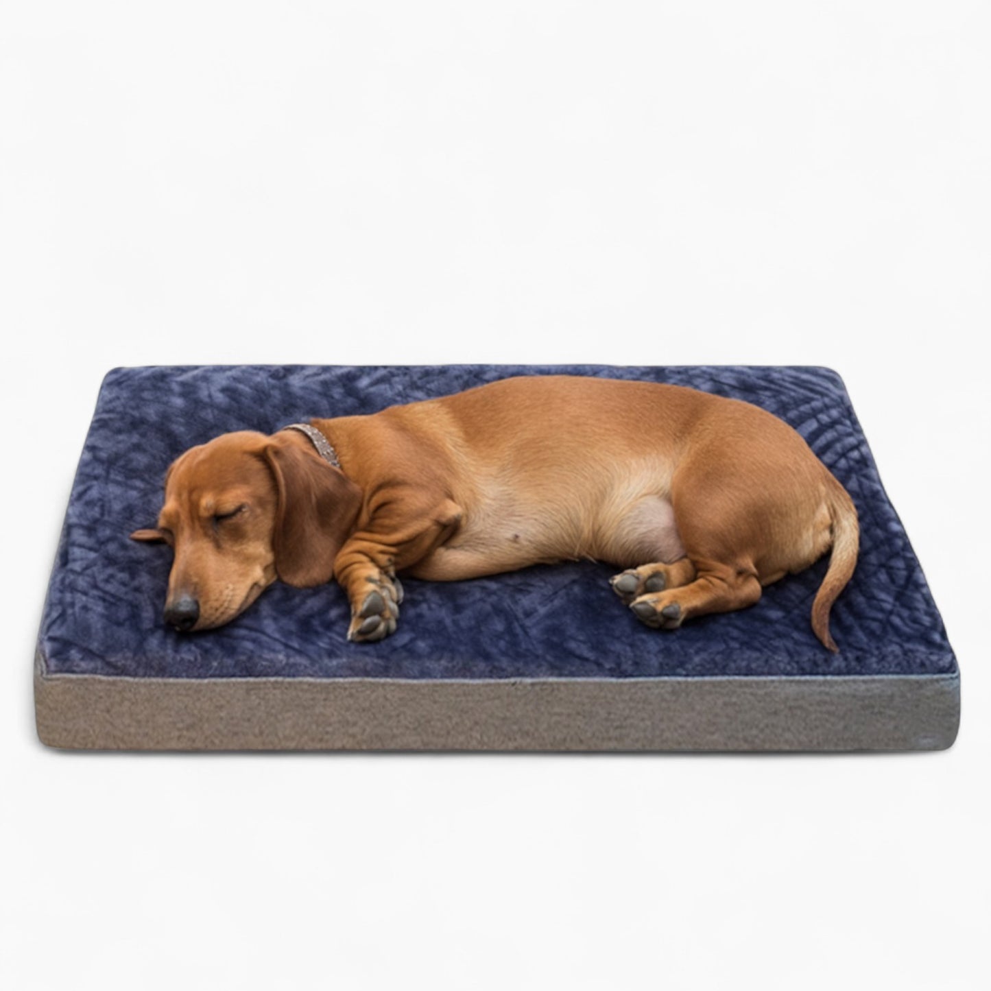 DoxOra-Dachshund-Plush-Sofa-Bed.jpg