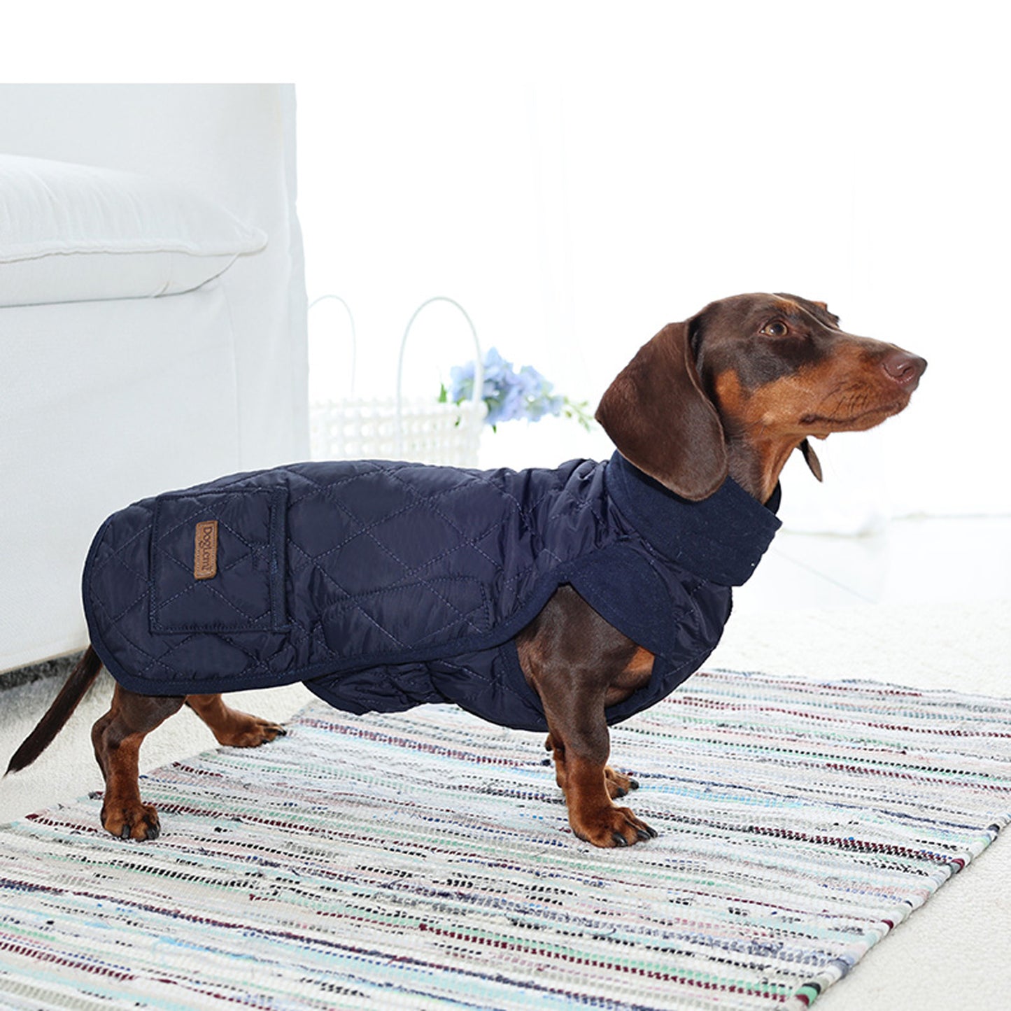 Doxie-Quilted-Dachshund-Winter-Coat.jpg
