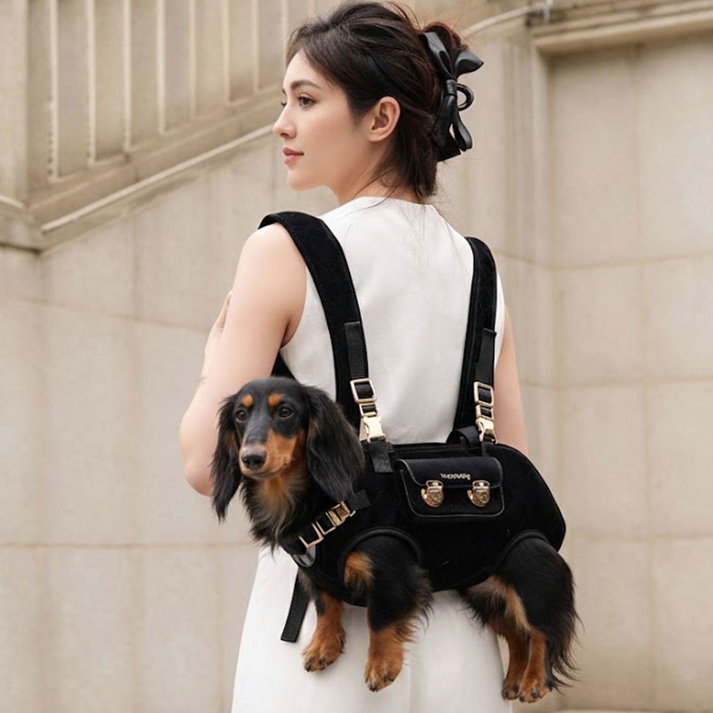Doxie-carrier.jpg