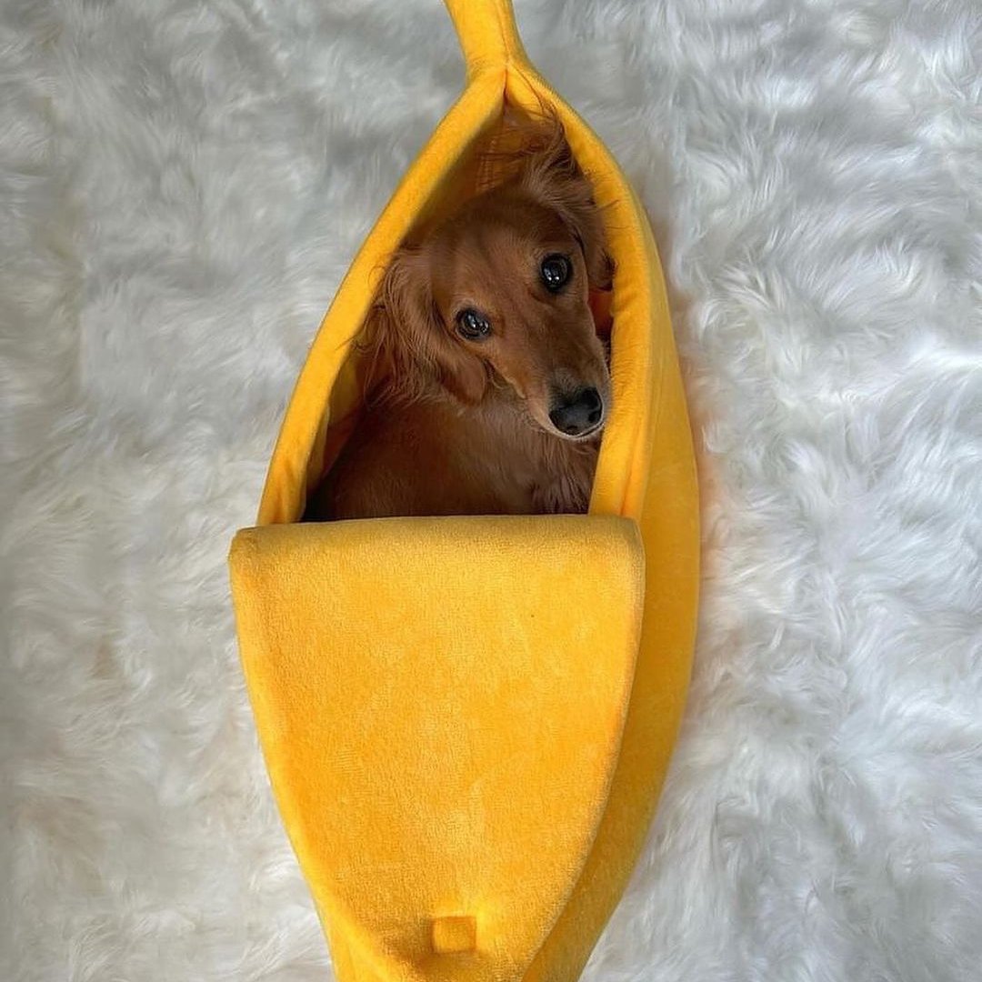 DoxieNest Dachshund Banana Bed