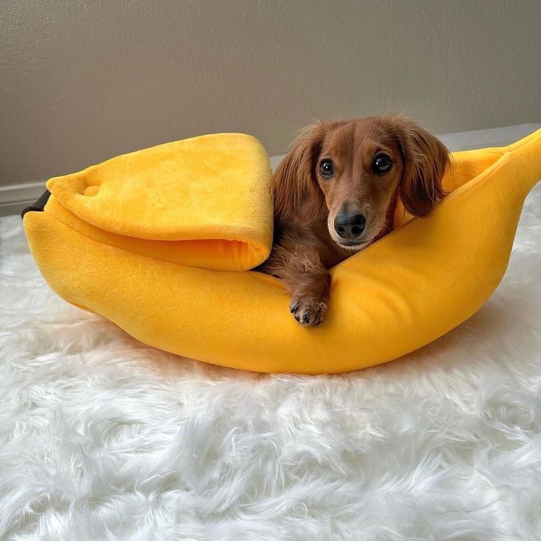 DoxieNest Dachshund Banana Bed