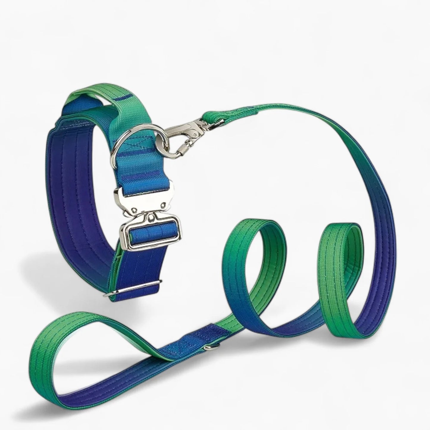 DuraPaw-Dachshund-Gradient-Collar-Leash-Set.jpg