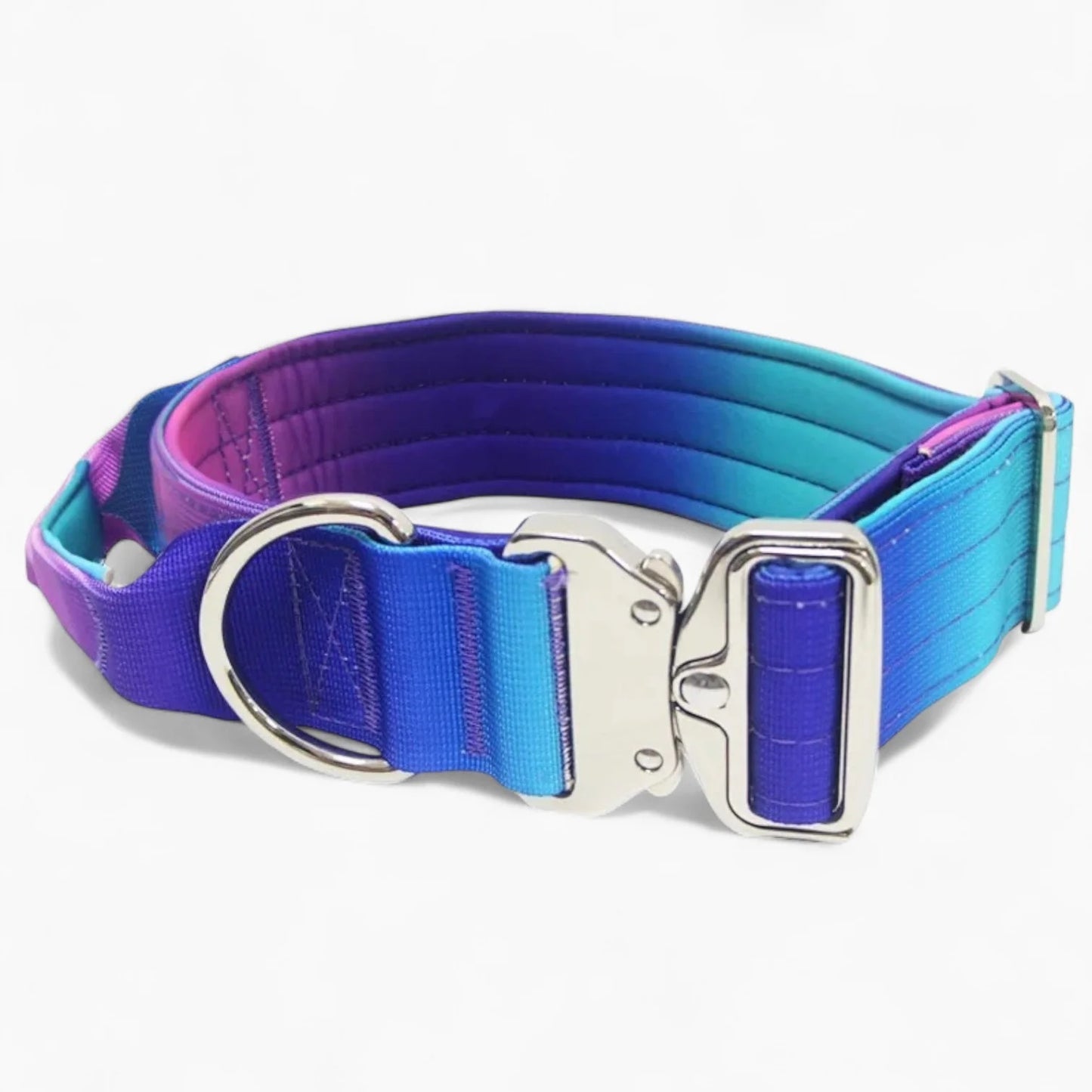 DuraPaw-Dachshund-Gradient-Collar-Leash-Set.jpg