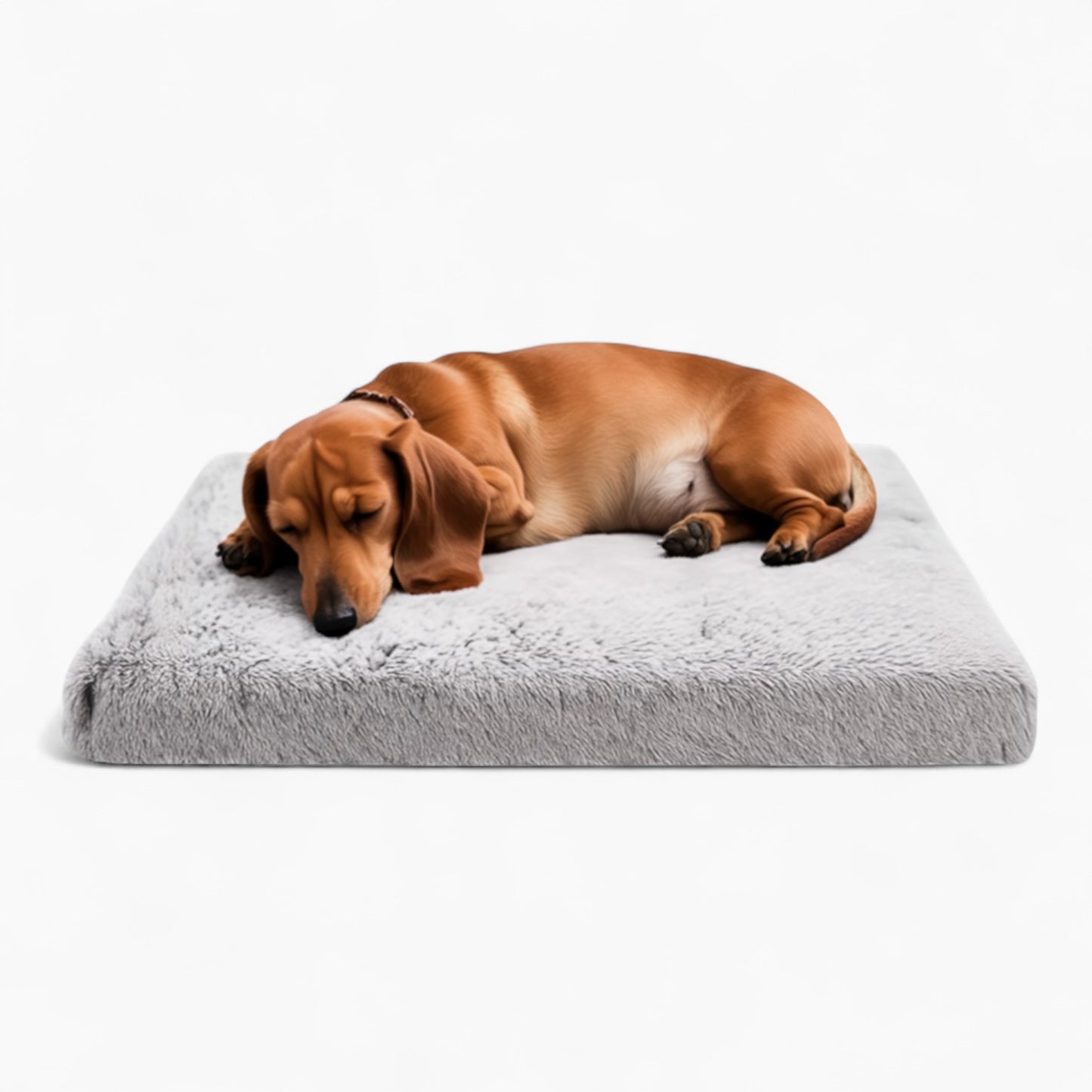 FlexiBed-Dachshund-Portable-Bed.jpg