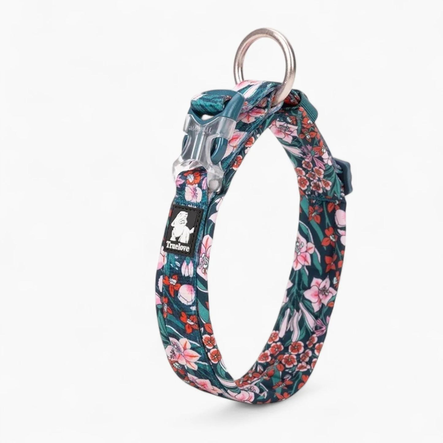 Florish-Dachshund-Floral-Collar.jpg