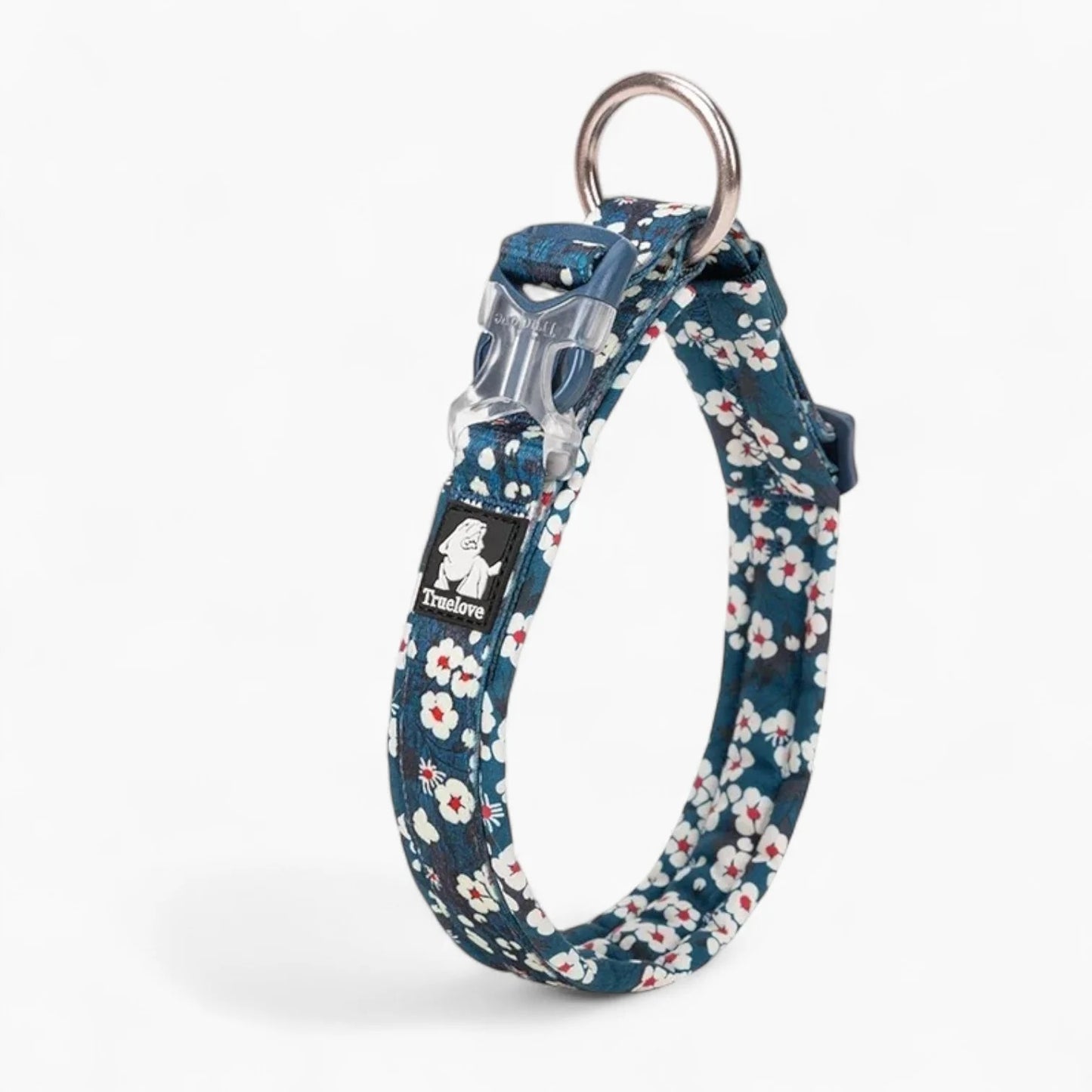 Florish-Dachshund-Floral-Collar.jpg