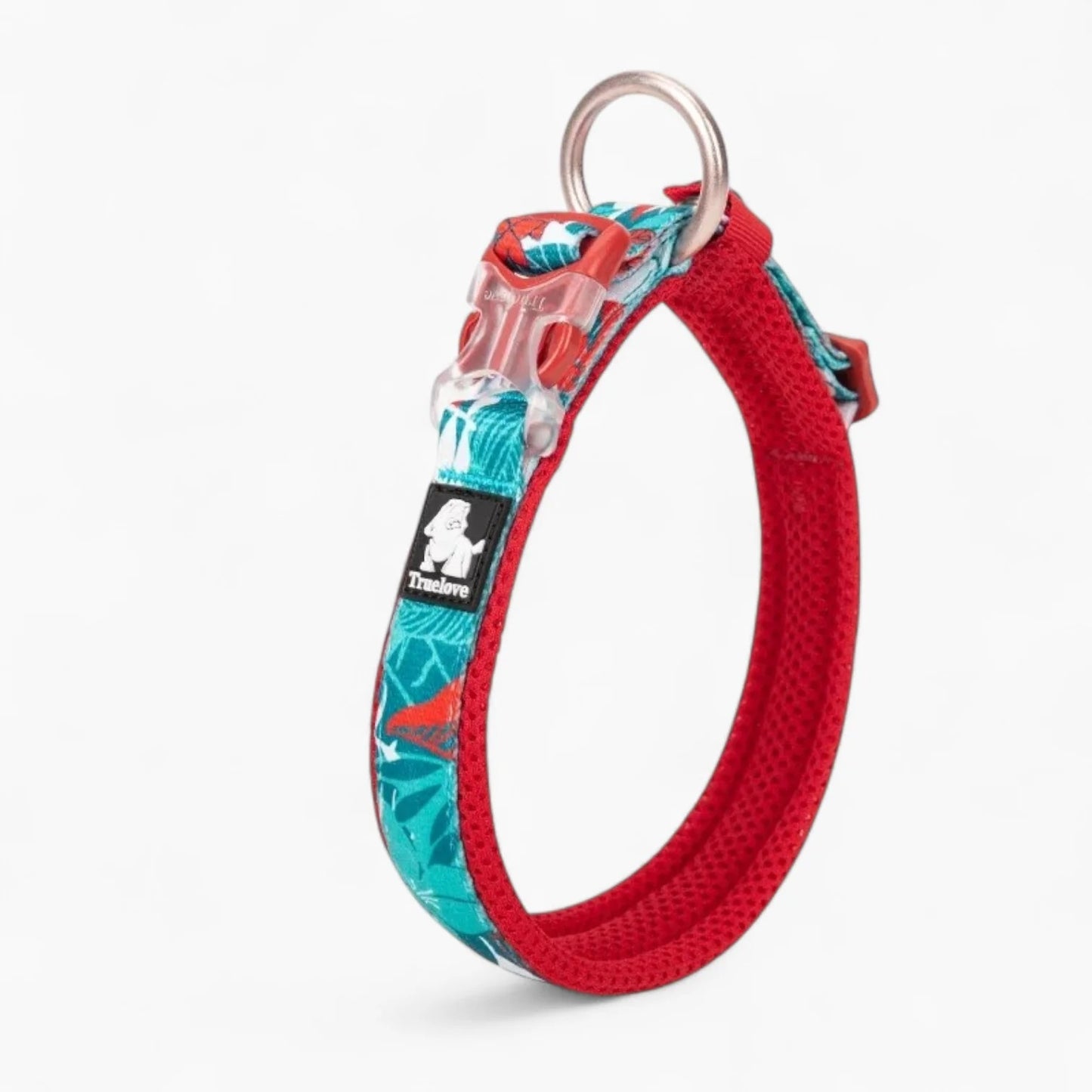 Florish-Dachshund-Floral-Collar.jpg