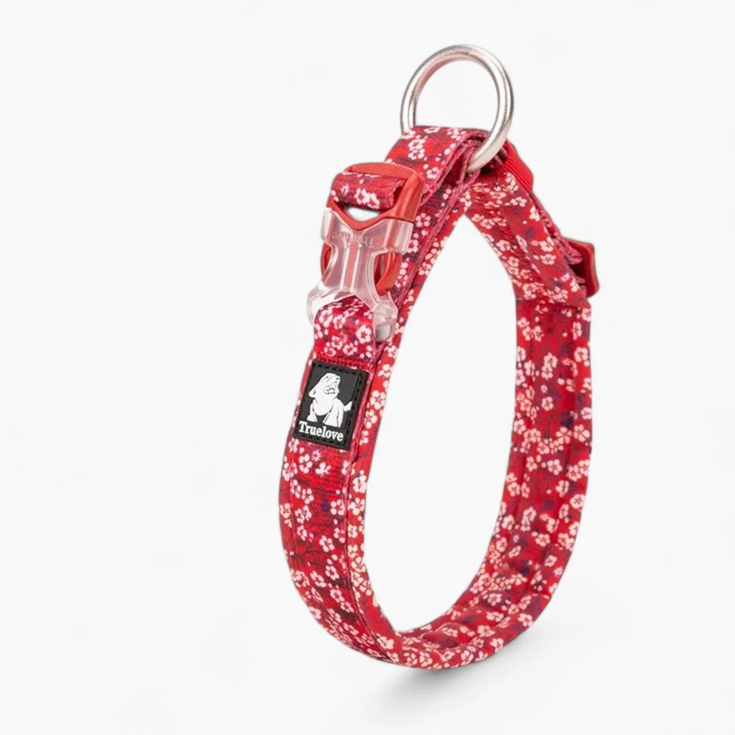 Florish-Dachshund-Floral-Collar.jpg