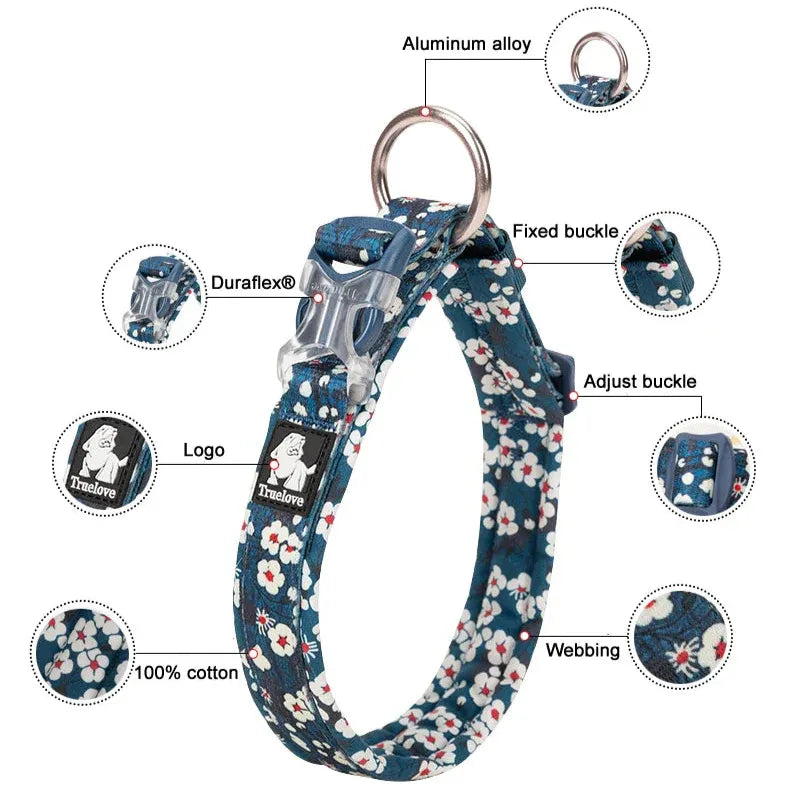 Florish-Dachshund-Floral-Collar.jpg