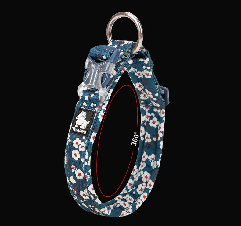 Florish-Dachshund-Floral-Collar.jpg