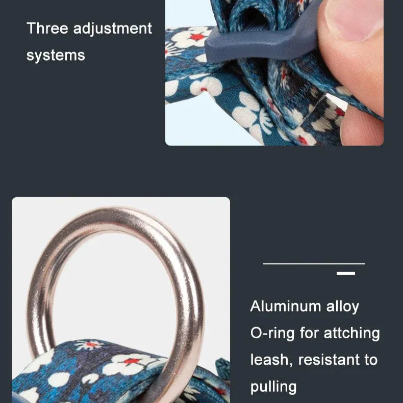 Florish-Dachshund-Floral-Collar.jpg