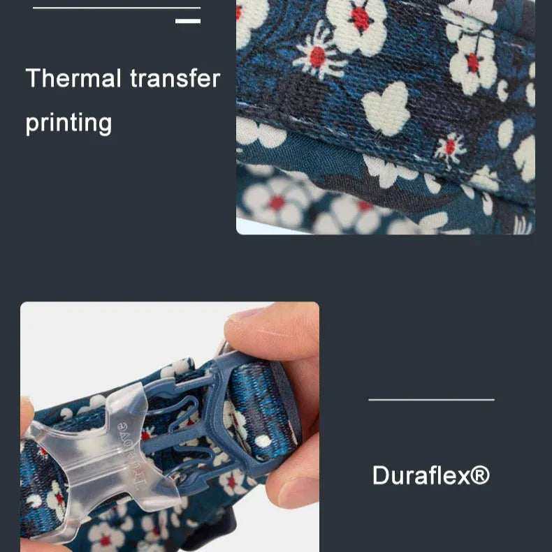 Florish-Dachshund-Floral-Collar.jpg