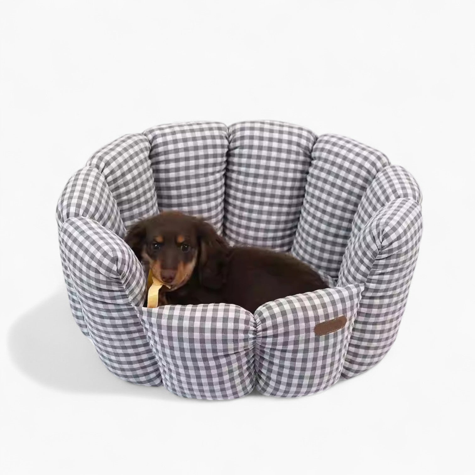 FlowerPot-Dachshund-Nest.jpg