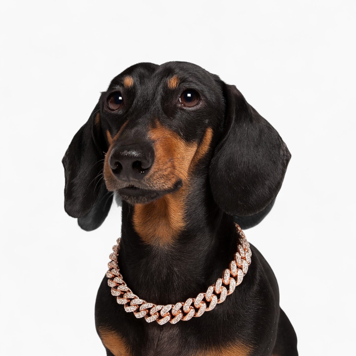 GlitzPet-Dachshund-Cuban-Diamond-Chain.jpg