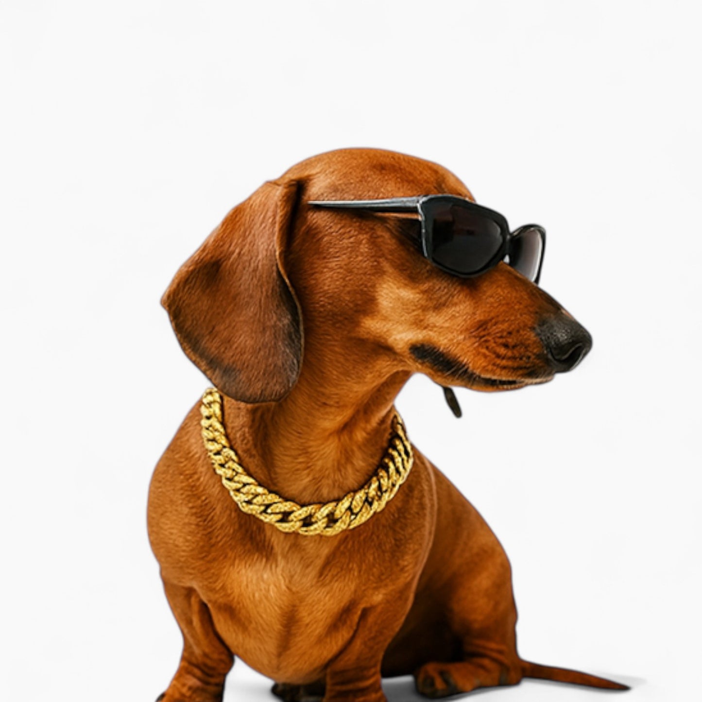 GlitzPet-Dachshund-Cuban-Diamond-Chain.jpg
