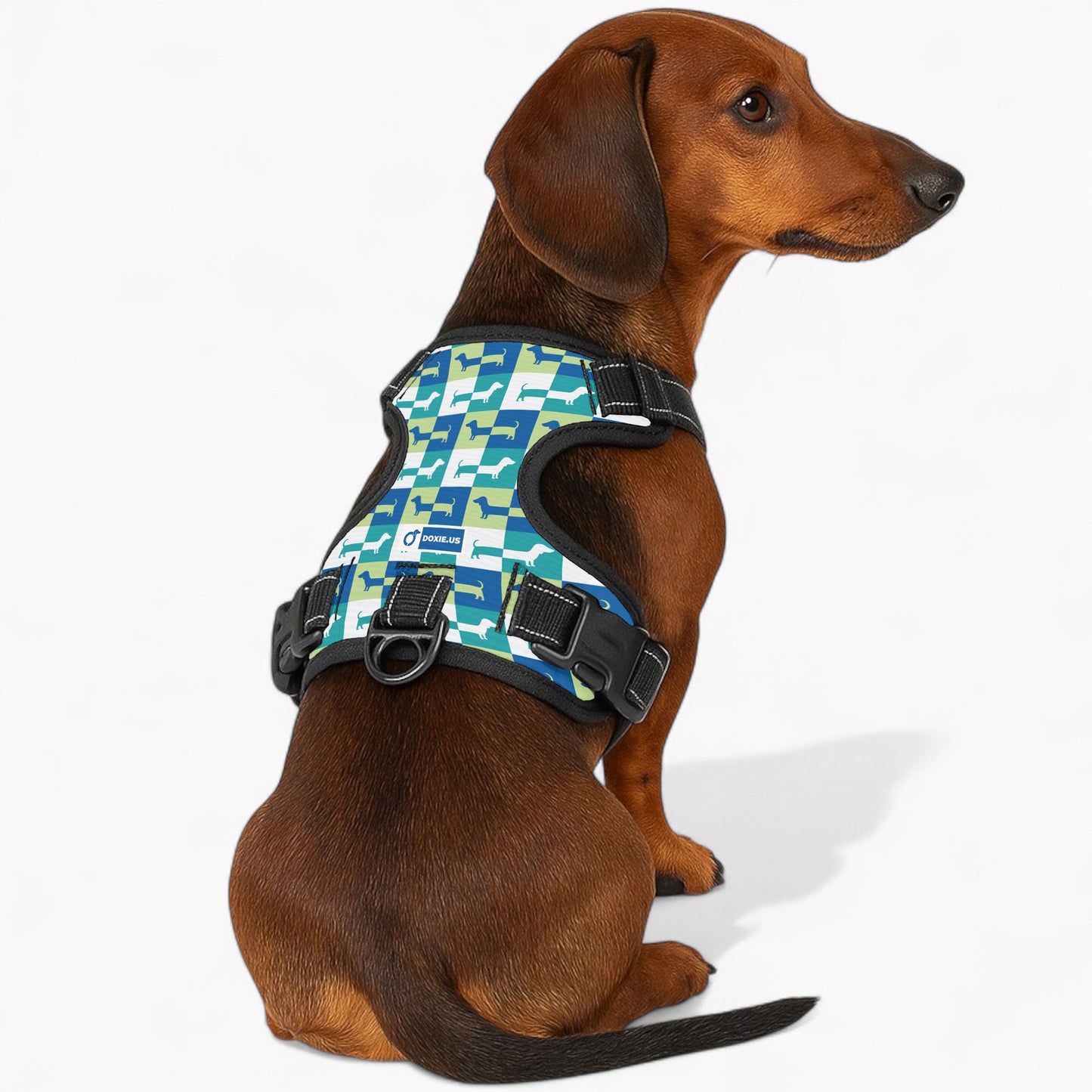 Hans - No-Pull Dachshund Dog Harness