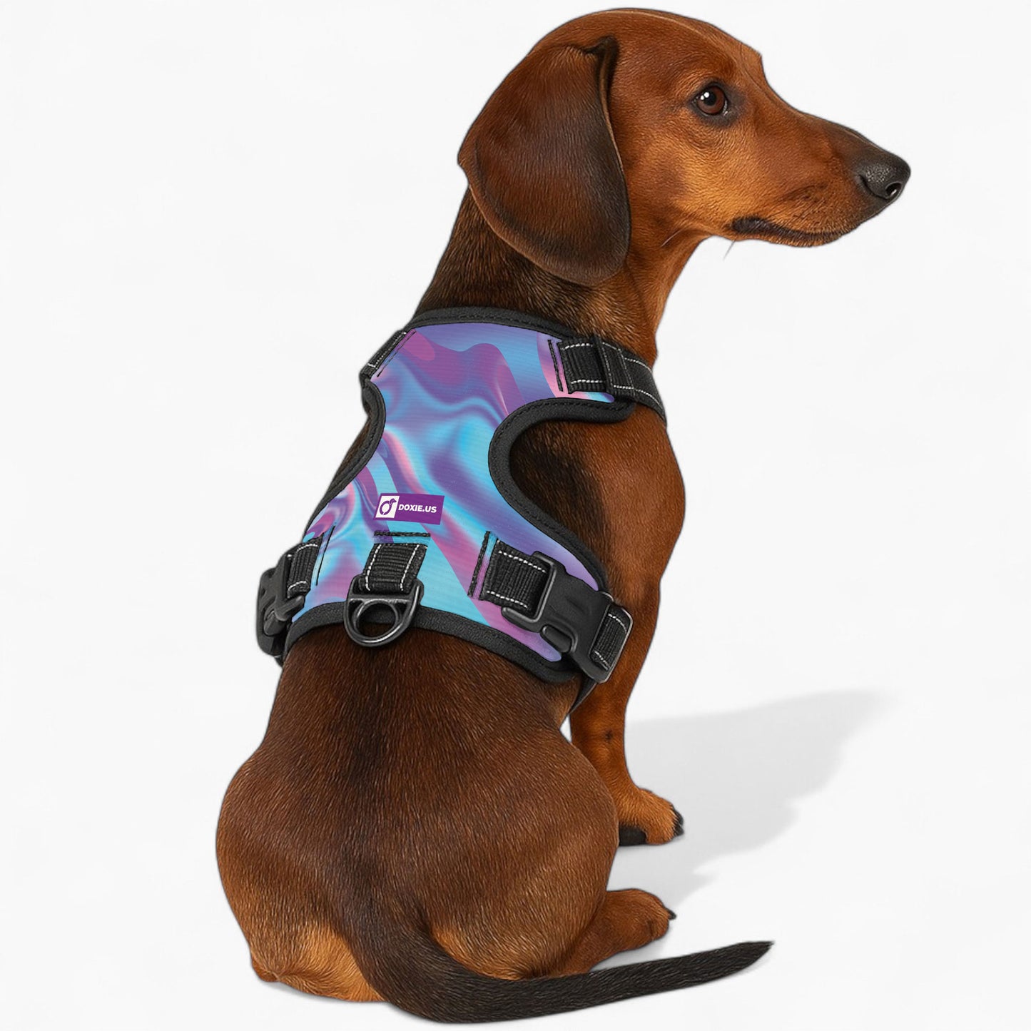 Betty - No-Pull Dachshund Dog Harness