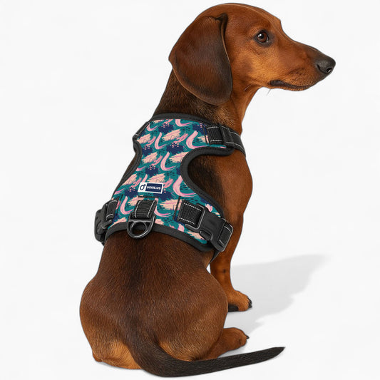 Johann -  No-Pull Dachshund Dog Harness