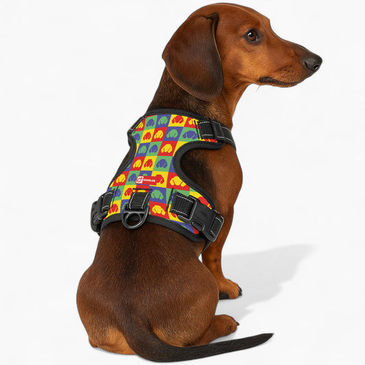 Chili -  No-Pull Dachshund Dog Harness