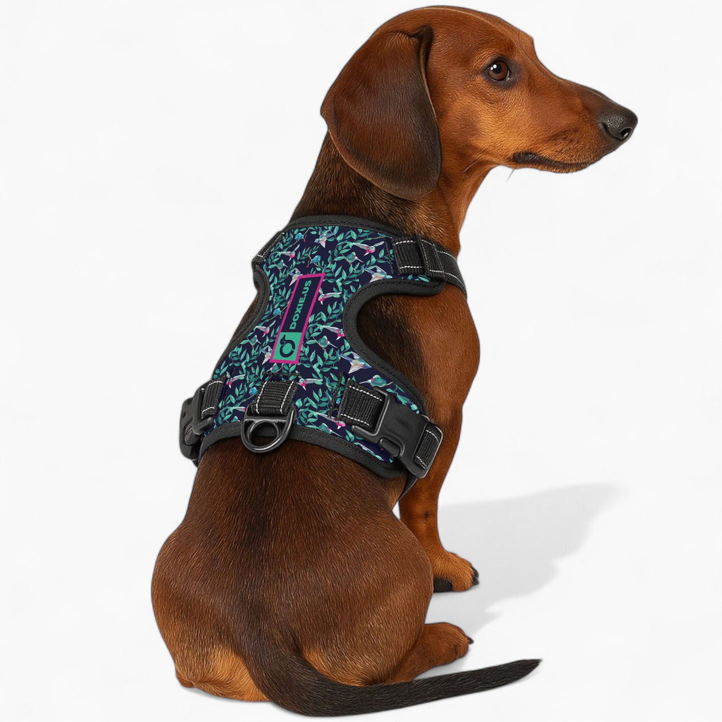 Sophie - No-Pull Dachshund Dog Harness