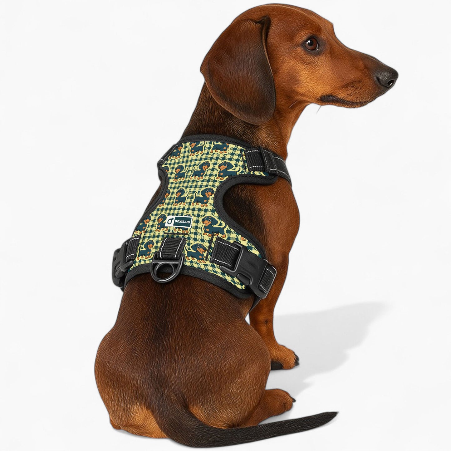 Snickers - No-Pull Dachshund Dog Harness