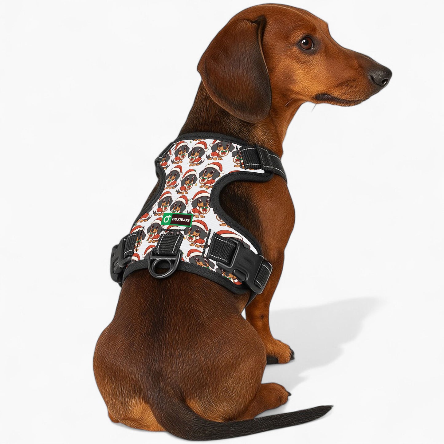 Kevin - No-Pull Dachshund Dog Harness